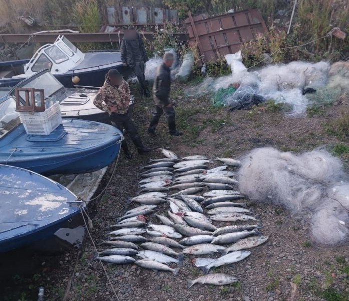 В Николаевском районе полицейские задержали троих подозреваемых, причастных к незаконной добыче лосося